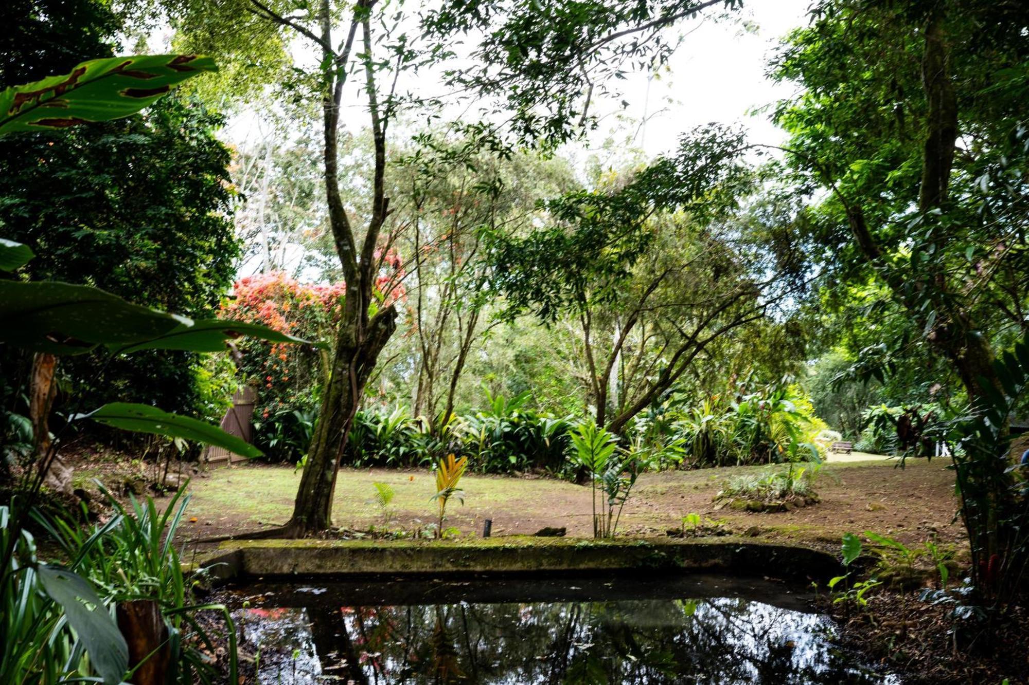 Hospedaje La Naciente トゥリアルバ エクステリア 写真